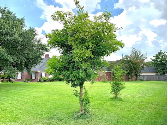 8303 Lanham Ln, Houston, TX 77075 - view of yard
