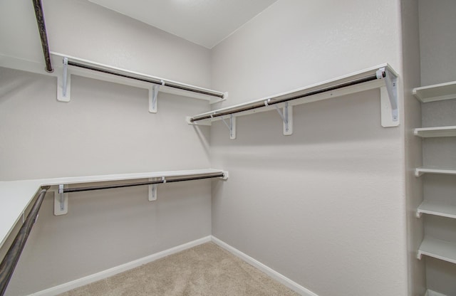 13219 Riata River Ln, Humble, TX 77346 - walk in closet with carpet