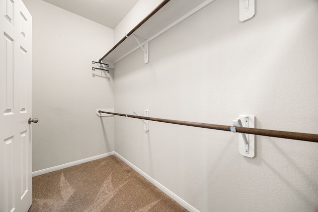 4323 Wyanngate Dr, Spring, TX 77373 - spacious closet featuring carpet flooring