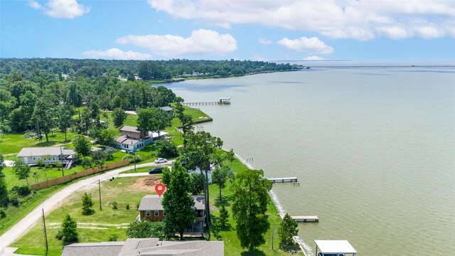 784 W Cattle Dr, Onalaska, TX 77360 - bird's eye view of a large body of water
