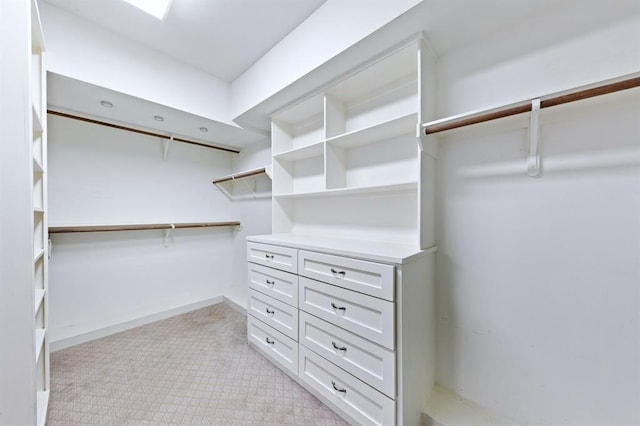 1822 Mcilhenny St Unit B, Houston, TX 77004 - view of spacious closet