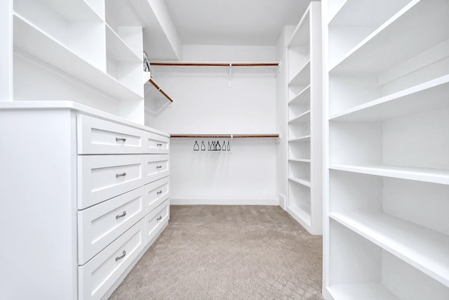1822 Mcilhenny St Unit B, Houston, TX 77004 - walk in closet featuring light carpet