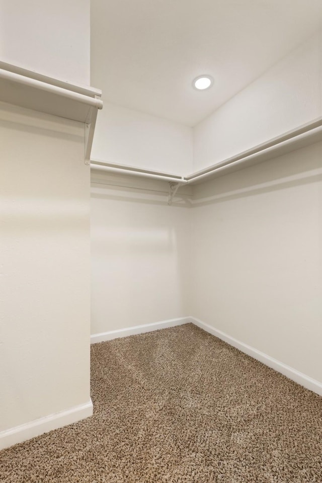 2801 Pickerton Dr, Deer Park, TX 77536 - walk in closet featuring carpet floors