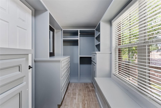 16503 Timberidge Ct, Cypress, TX 77429 - spacious closet with light wood-style flooring