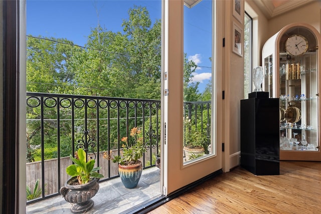 5520 Mcculloch Cir, Houston, TX 77056 - entryway with wood finished floors and crown molding