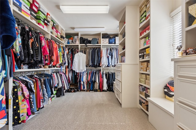 5520 Mcculloch Cir, Houston, TX 77056 - walk in closet with carpet floors
