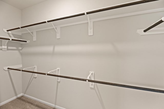 18810 Lucas Michael Way, New Caney, TX 77357 - walk in closet featuring light carpet