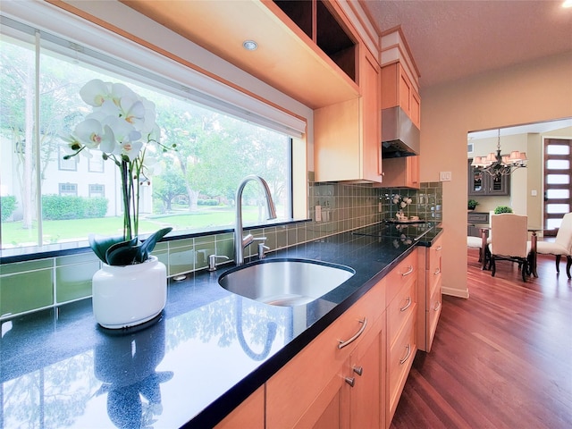 4900 Willow St, Bellaire, TX 77401 - kitchen featuring a sink, healthy amount of natural light, decorative backsplash, and black electric stovetop