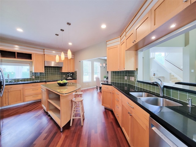 4900 Willow St, Bellaire, TX 77401 - kitchen featuring stainless steel dishwasher, under cabinet range hood, light brown cabinetry, dark wood-style floors, and a sink