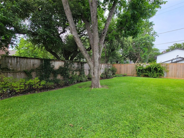 4900 Willow St, Bellaire, TX 77401 - view of yard