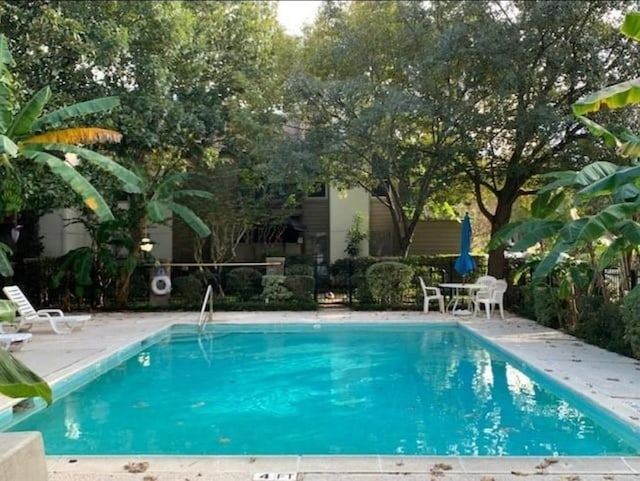 10049 Westpark Dr Unit 136, Houston, TX 77042 - view of community pool