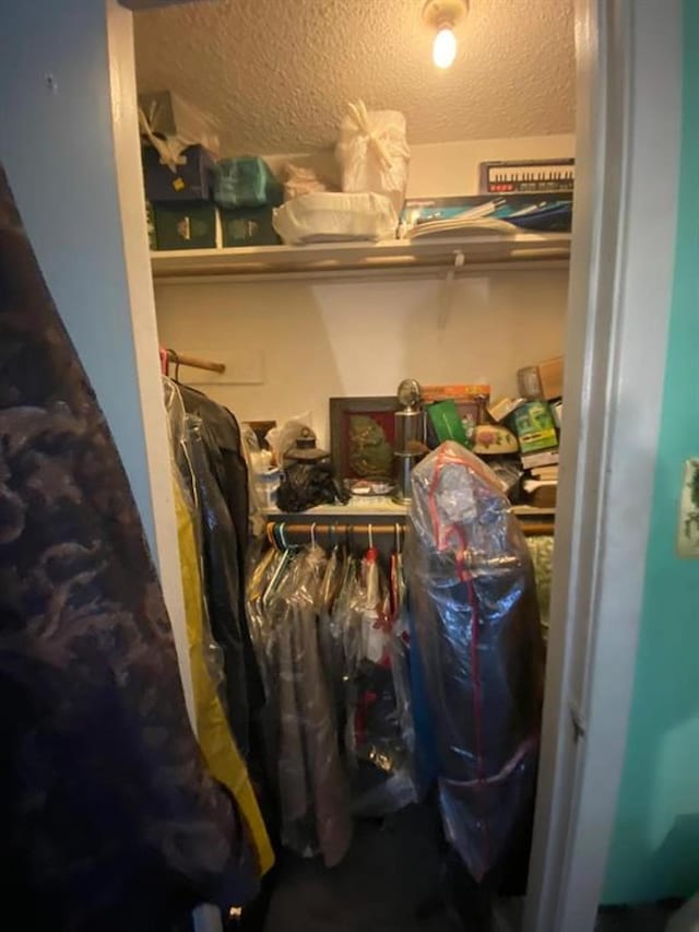 10049 Westpark Dr Unit 136, Houston, TX 77042 - view of closet