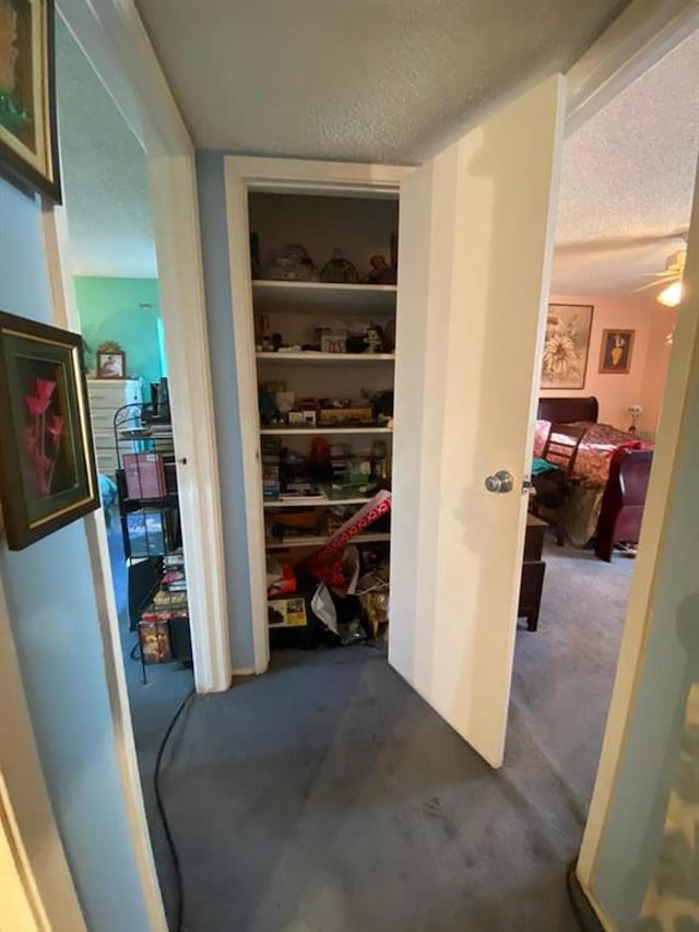 10049 Westpark Dr Unit 136, Houston, TX 77042 - hallway with a textured ceiling and carpet flooring