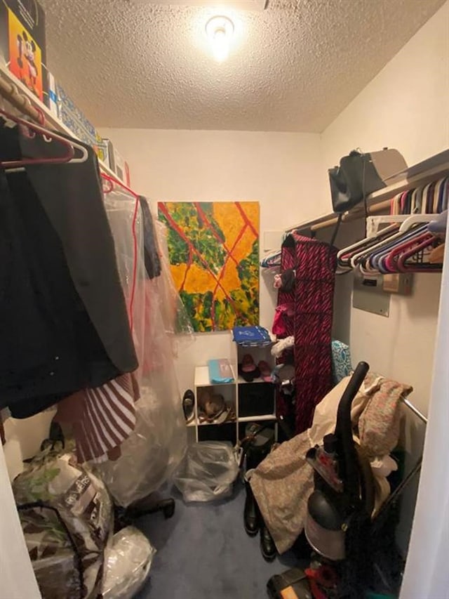 10049 Westpark Dr Unit 136, Houston, TX 77042 - view of spacious closet