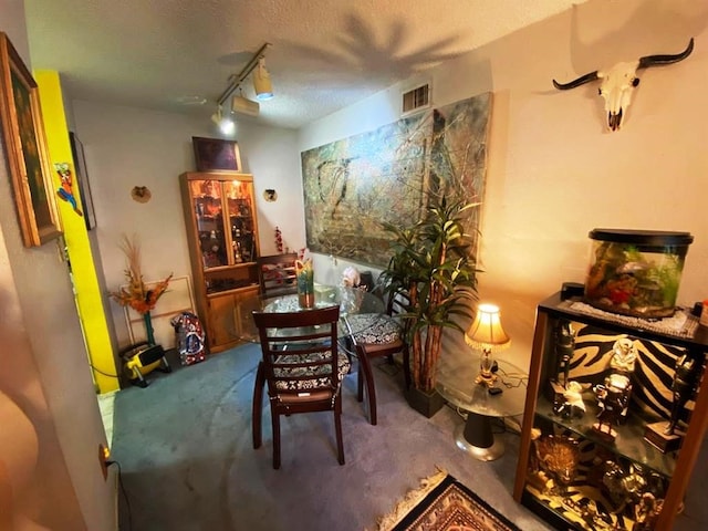 10049 Westpark Dr Unit 136, Houston, TX 77042 - carpeted dining area with track lighting and a textured ceiling