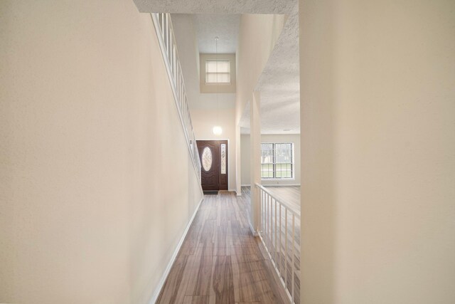 2311 Jackson Ln, League City, TX 77573 - corridor with wood finished floors, baseboards, and a high ceiling