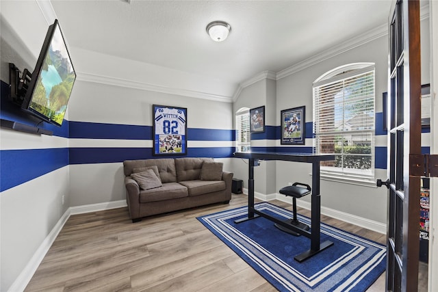 24747 Ballad Dr, Katy, TX 77493 - office space featuring crown molding, wood finished floors, and baseboards