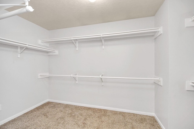 4310 Lucas Trace Ct, Houston, TX 77066 - spacious closet featuring carpet floors