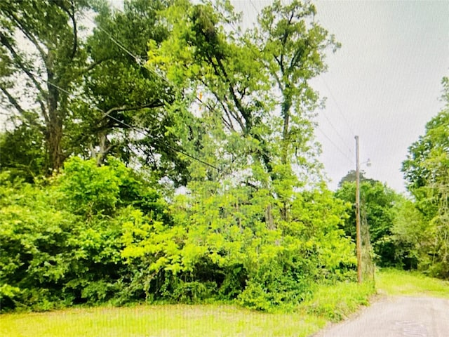 0 Harrison St, Livingston, TX 77351 - photo 1