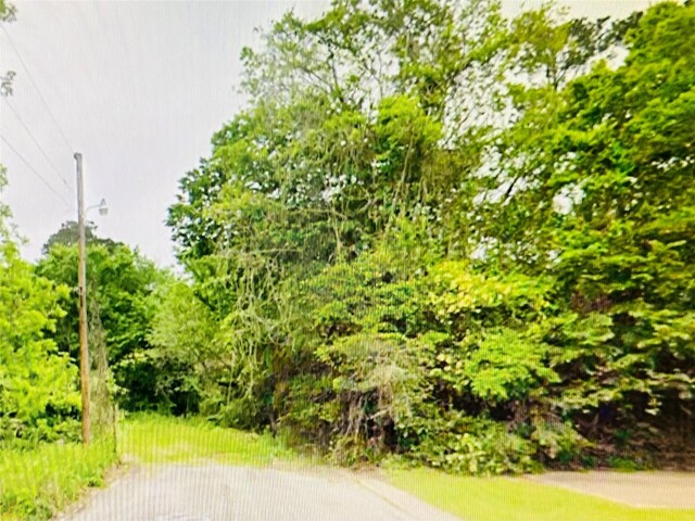 0 Harrison St, Livingston, TX 77351 - photo 3