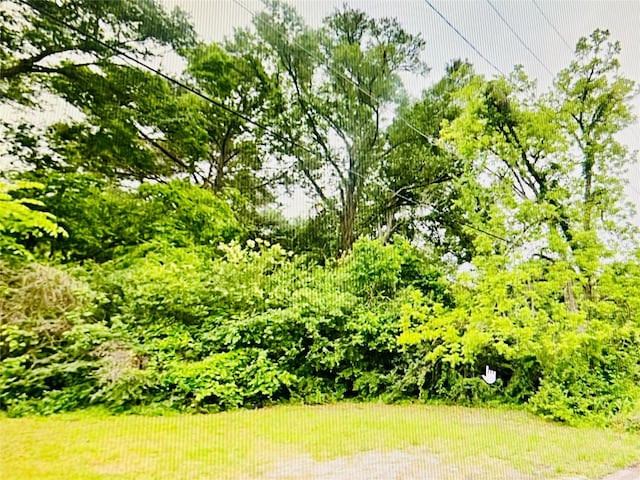 0 Harrison St, Livingston, TX 77351 - photo 4