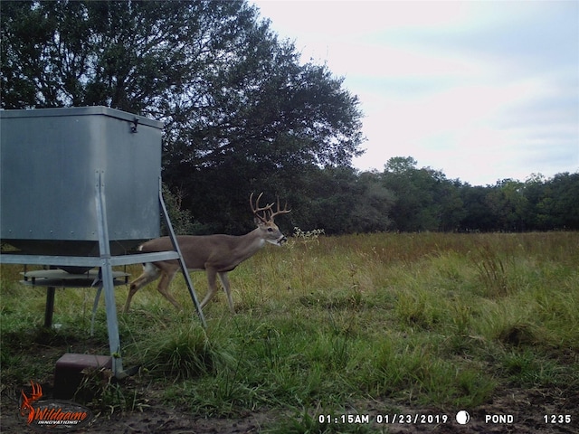 TRACT4 County Road 106, Columbus, TX 78934