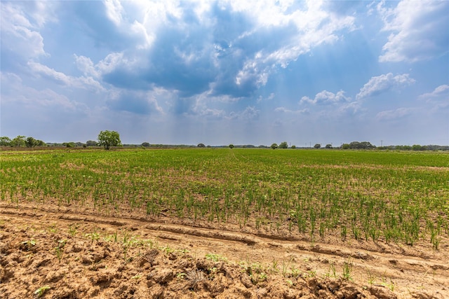 TRACT4 County Road 106, Columbus, TX 78934