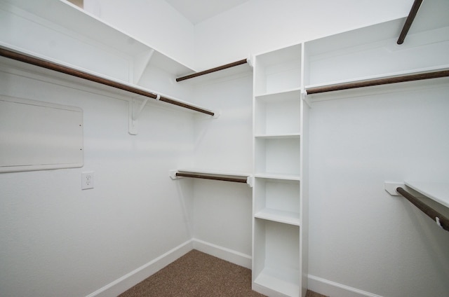 4215 Sterling St, Houston, TX 77051 - spacious closet with carpet