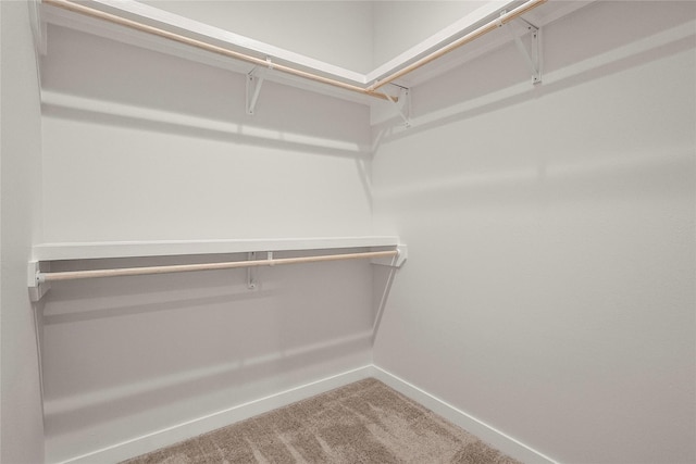 2317 Cleburne St, Houston, TX 77004 - spacious closet with carpet floors