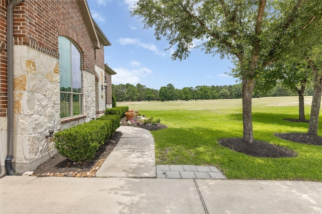 25019 Bahme Springs Ln, Porter, TX 77365 - view of green lawn