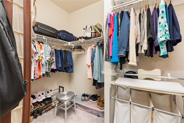 25019 Bahme Springs Ln, Porter, TX 77365 - view of spacious closet