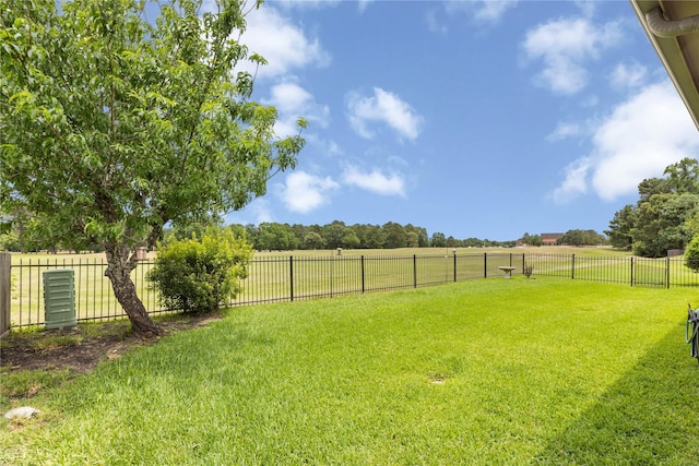 25019 Bahme Springs Ln, Porter, TX 77365 - view of yard