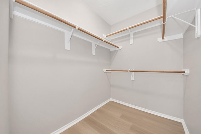 1805 Coronel St, Alvin, TX 77511 - walk in closet featuring wood finished floors
