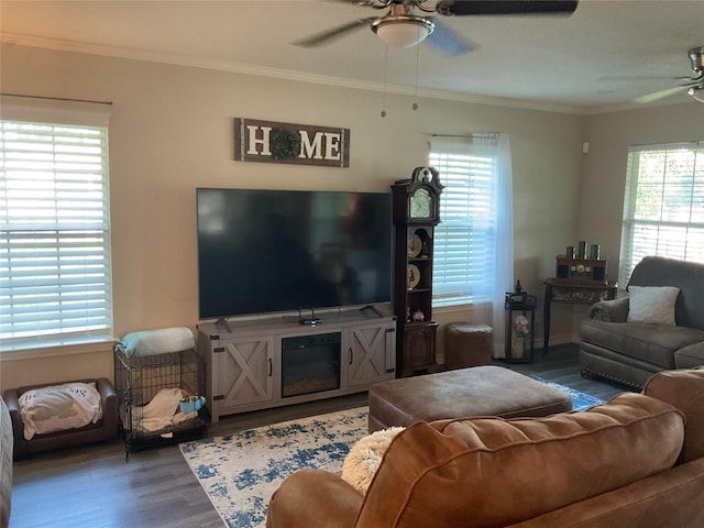 530 Sherwood Forest Dr W, Ivanhoe, TX 75979 - living room featuring ceiling fan, plenty of natural light, wood finished floors, and crown molding