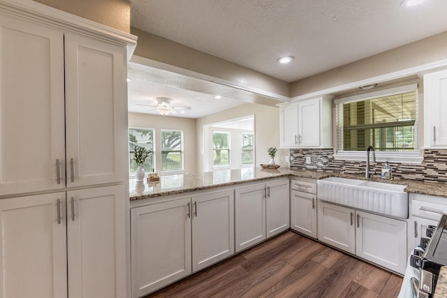 280 Crestmont St, Point Blank, TX 77364 - kitchen with a sink, dark wood finished floors, backsplash, white cabinetry, and light stone countertops