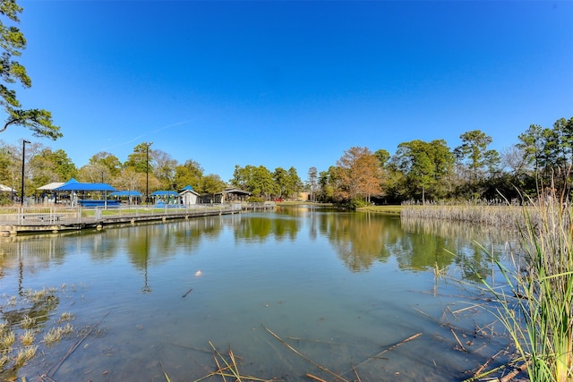 3 Shallow Pond Ct, The Woodlands, TX 77381 - water view