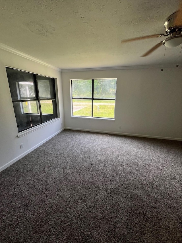 169 W Sunset Dr, Trinity, TX 75862 - photo 9