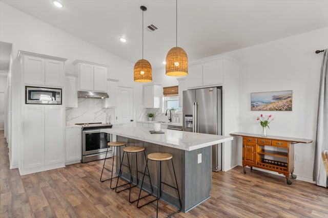 1023 N Bay St, Gilchrist, TX 77617 - kitchen with stainless steel appliances, under cabinet range hood, dark wood-style floors, tasteful backsplash, and lofted ceiling