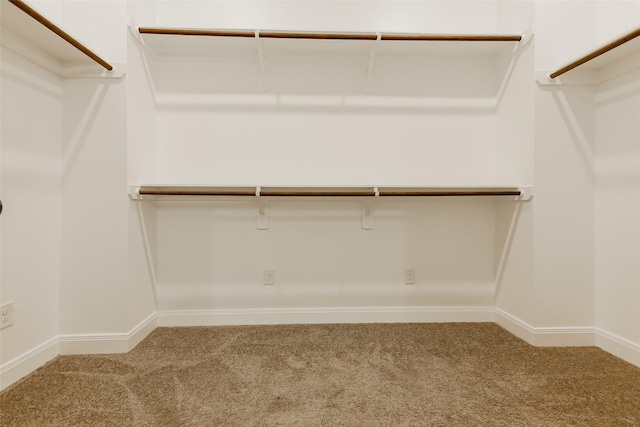 7810 Kenton St, Houston, TX 77028 - walk in closet featuring carpet floors