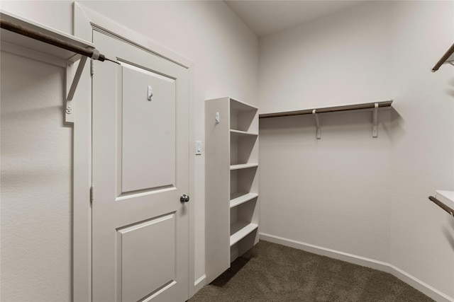 139 Trillium Park Loop, Conroe, TX 77304 - photo 24