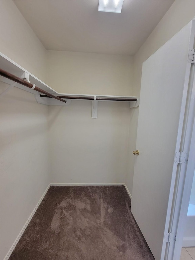 18214 Olive Leaf Dr, Houston, TX 77084 - walk in closet featuring carpet