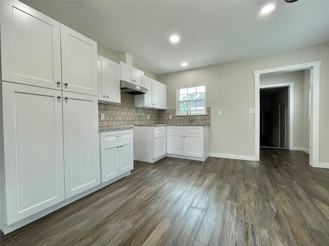 527 W 4th St, Freeport, TX 77541 - kitchen featuring under cabinet range hood, dark wood-style floors, baseboards, white cabinetry, and decorative backsplash