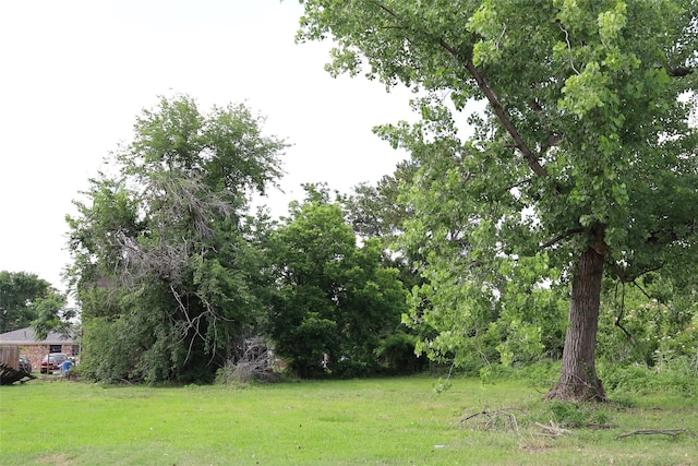 1715 Tarley St, Houston, TX 77009 - photo 2