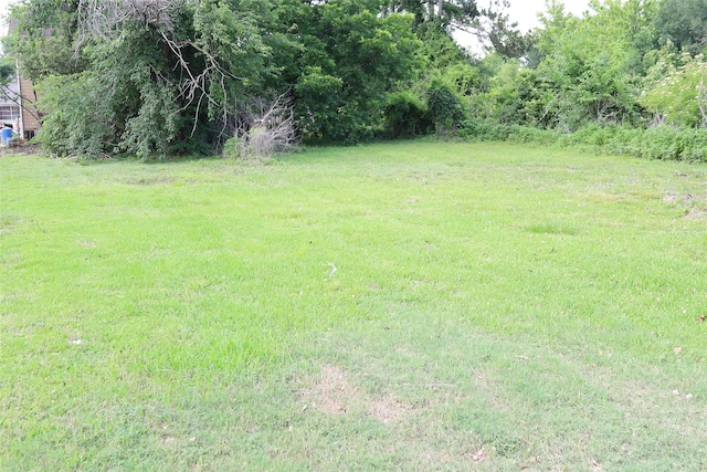 1715 Tarley St, Houston, TX 77009 - photo 3