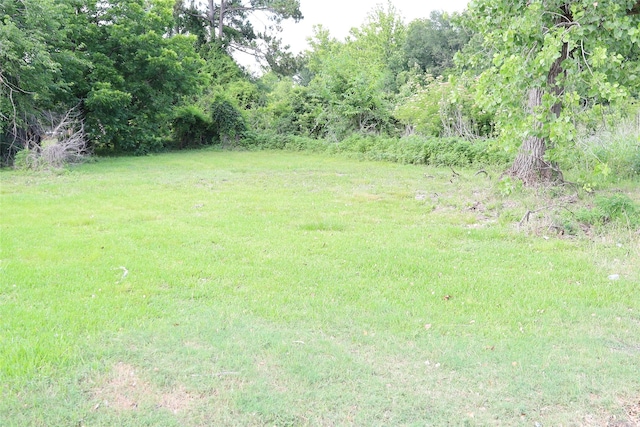 1715 Tarley St, Houston, TX 77009 - photo 6