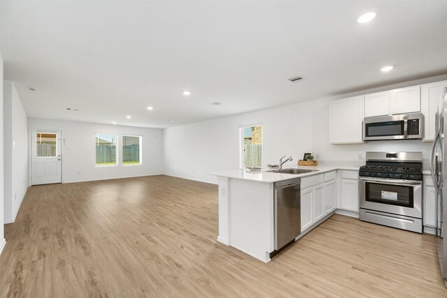 1491 Twilight Green Dr, Katy, TX 77493 - kitchen featuring stainless steel appliances, a sink, a peninsula, open floor plan, and recessed lighting