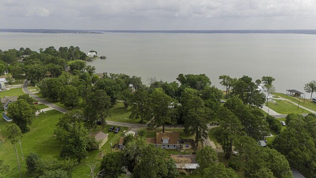 1239 Indian Hill Blvd, Livingston, TX 77351 - aerial view of property's location featuring a large body of water