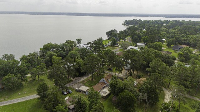 1239 Indian Hill Blvd, Livingston, TX 77351 - view of property location featuring a nearby body of water