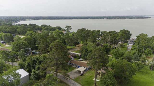 1239 Indian Hill Blvd, Livingston, TX 77351 - view of property location with a large body of water