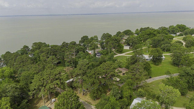 1239 Indian Hill Blvd, Livingston, TX 77351 - view of property location featuring a nearby body of water
